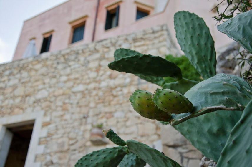 Kastellos Traditional Houses Εξωτερικό φωτογραφία